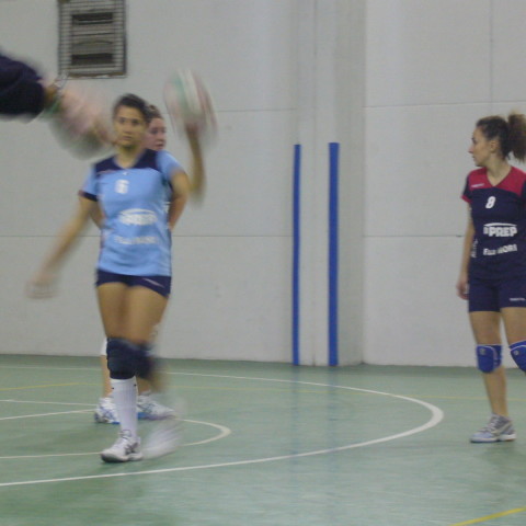 P1030207