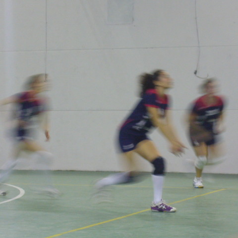 P1030291
