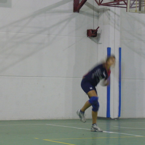 P1030310