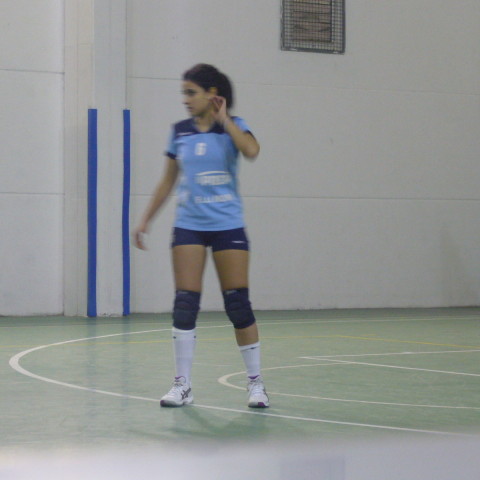 P1030378